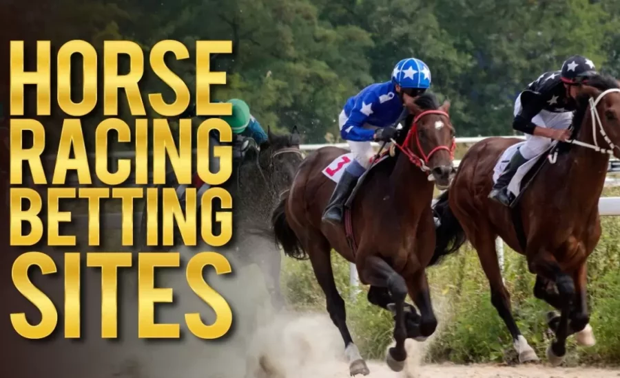 Best Horse Betting Site