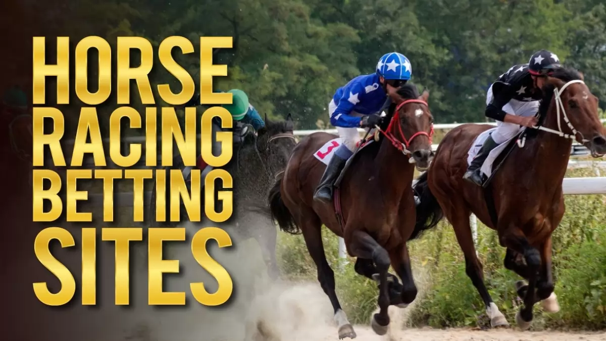 Best Horse Betting Site