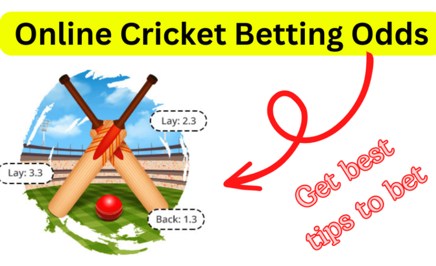 Best Cricket Betting Odds Site