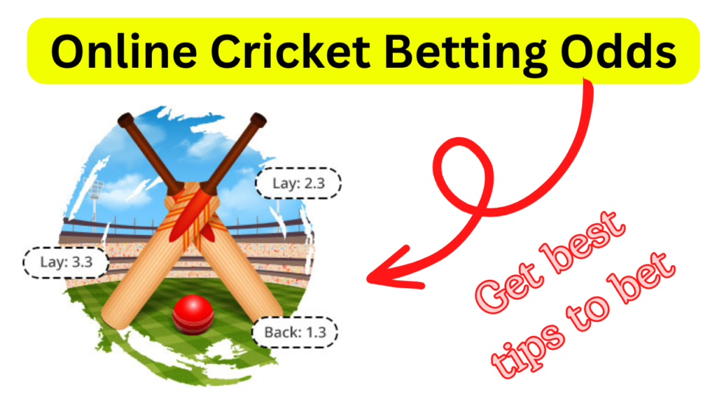 Best Cricket Betting Odds Site