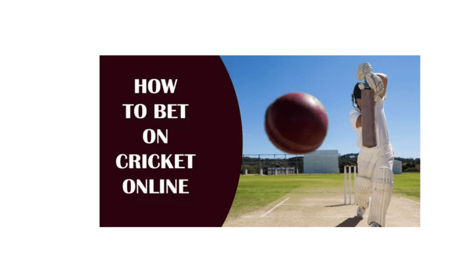 How To Bet In Cricket Online?