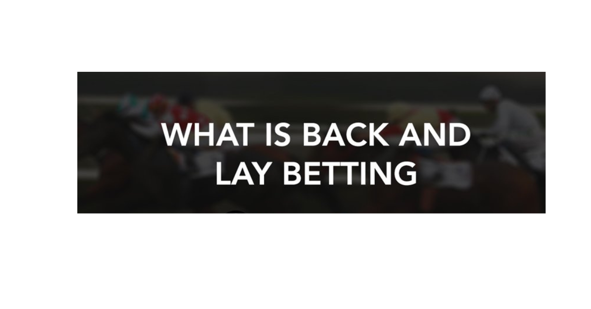 What Is Back Lay In Betting?