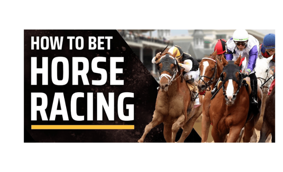 How To Bet In Horse Racing India?