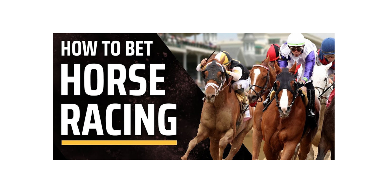 How To Bet In Horse Racing India?