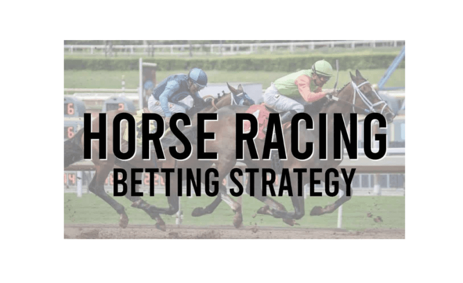 How To Bet Horses Successfully?