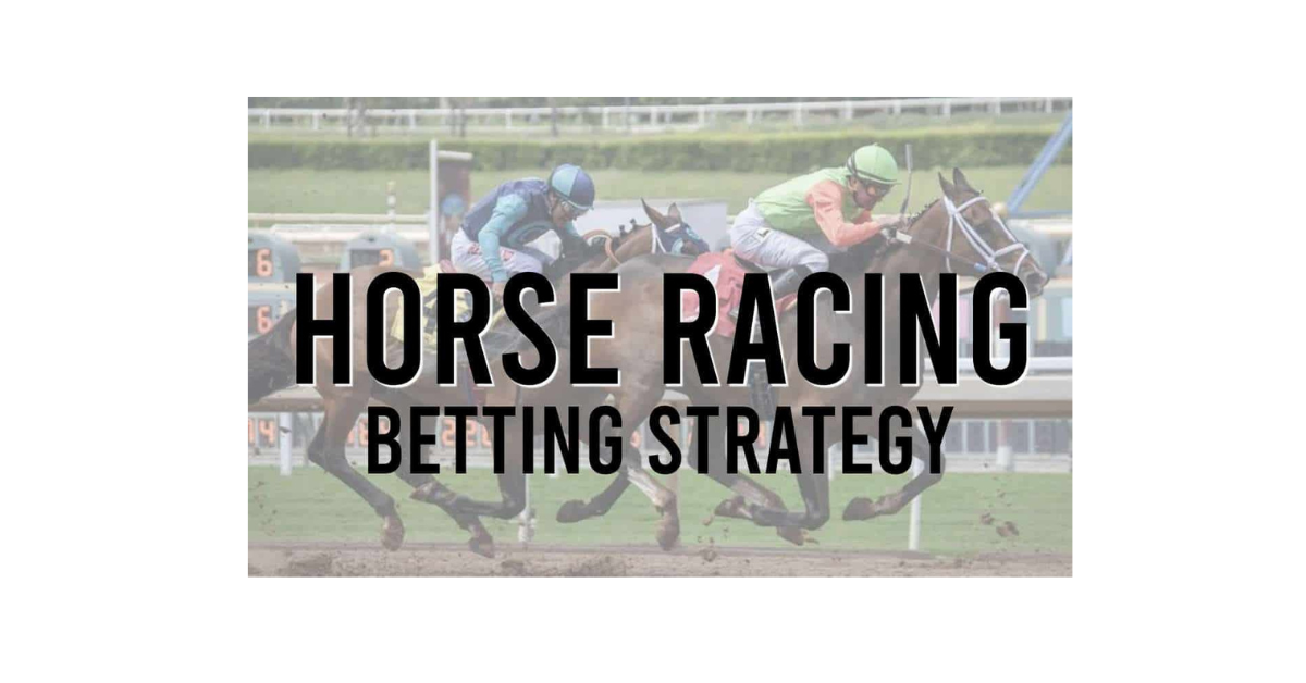 How To Bet Horses Successfully?