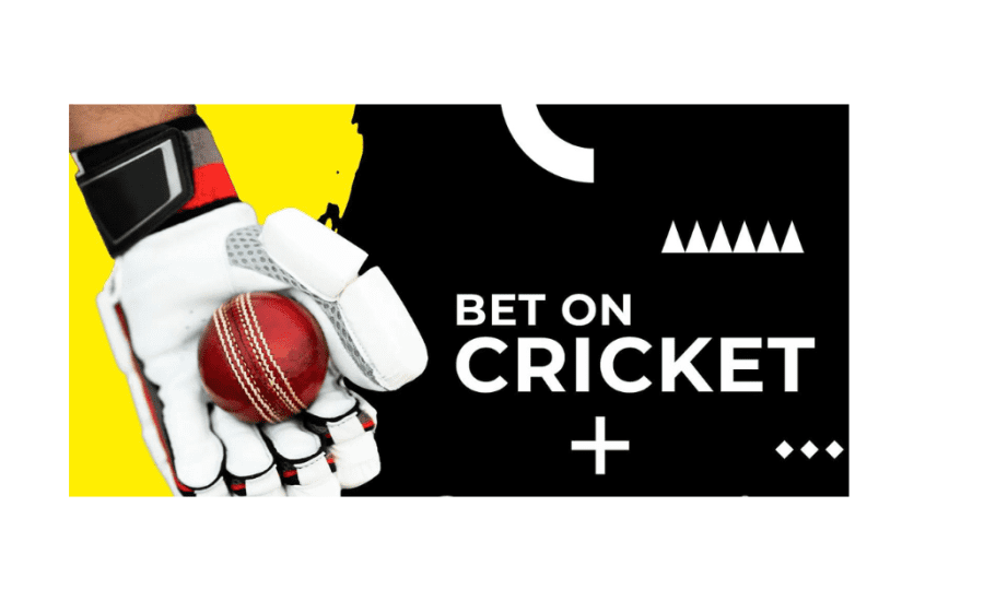 How To Bet On Cricket In India?