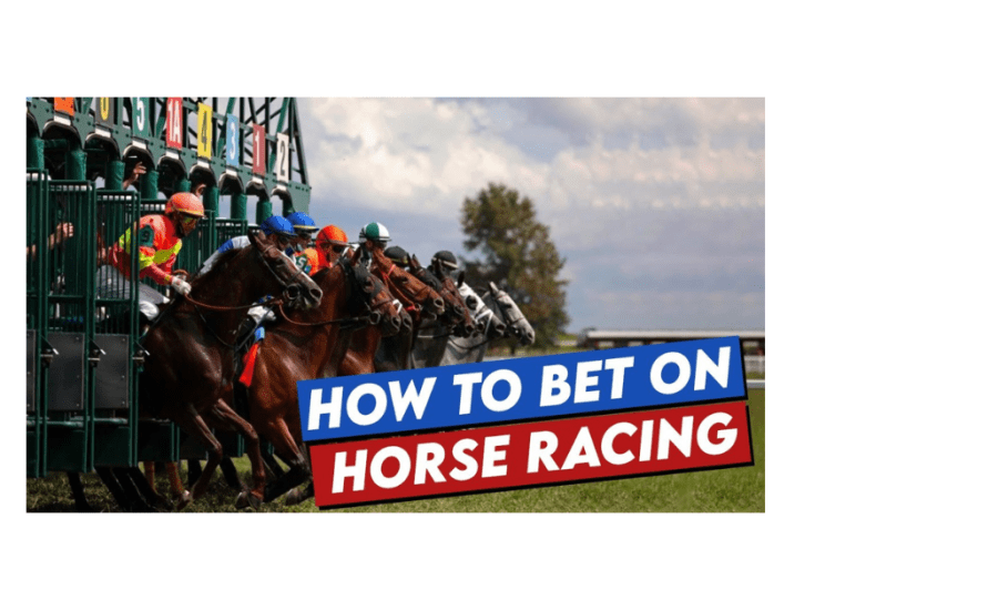 How To Bet On Horses?