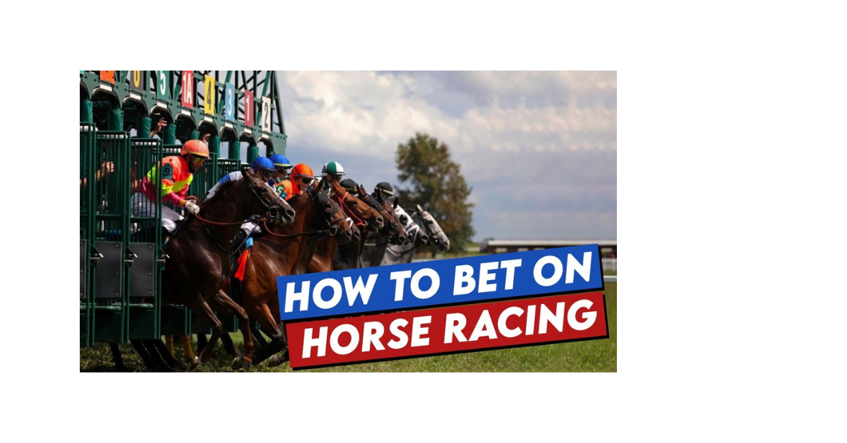 How To Bet On Horses?