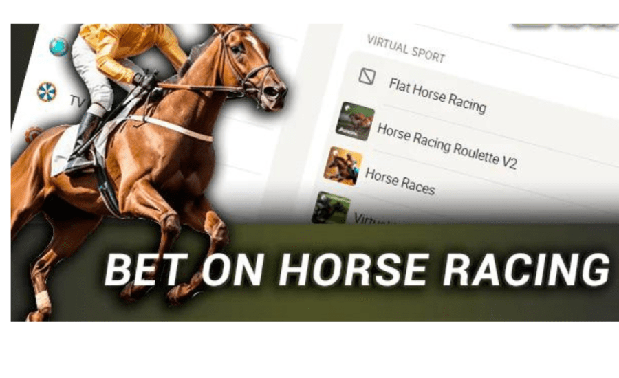 How To Bet On Horse Racing?