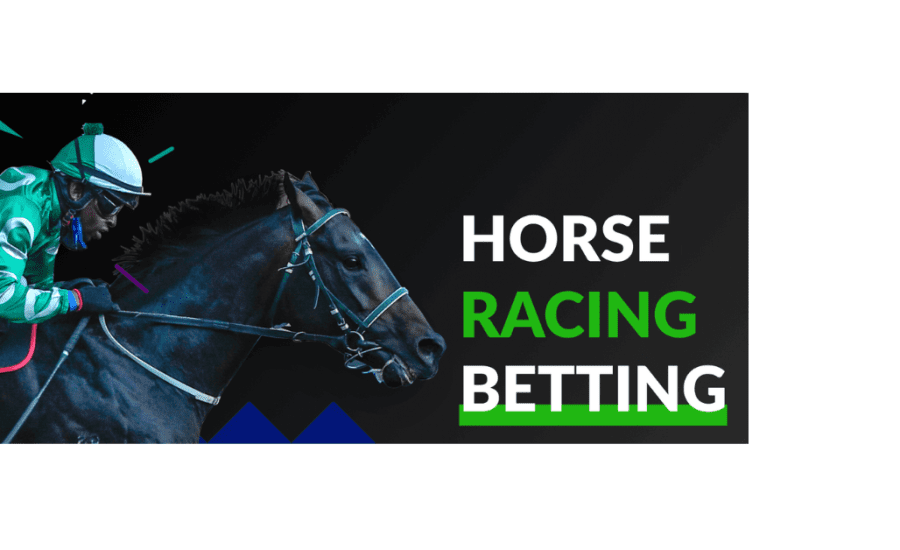 How To Bet Online Horse Racing In India?