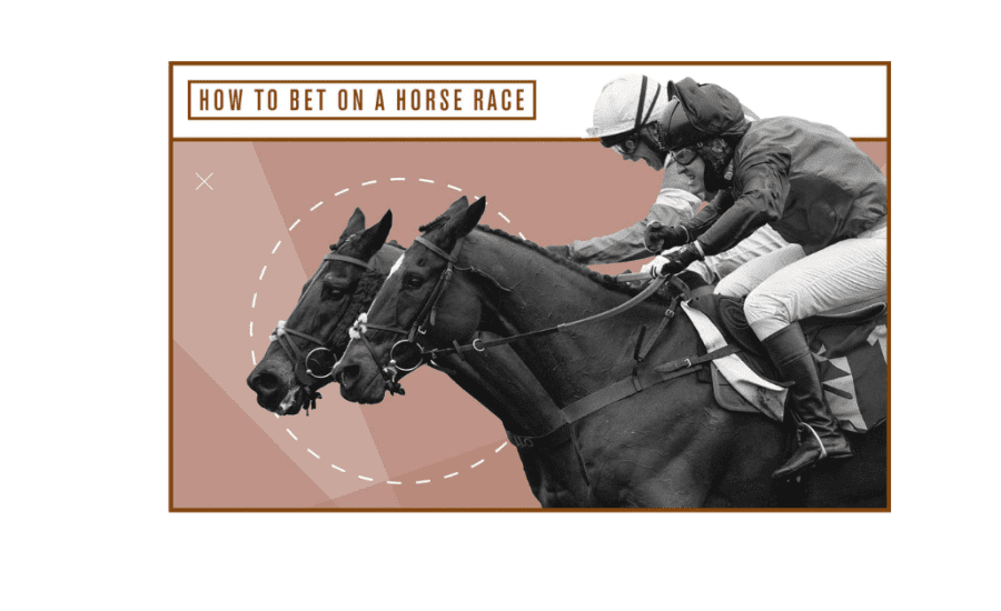 How To Bet Online Horse Racing?