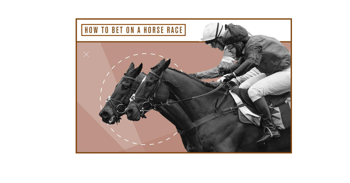 How To Bet Online Horse Racing?