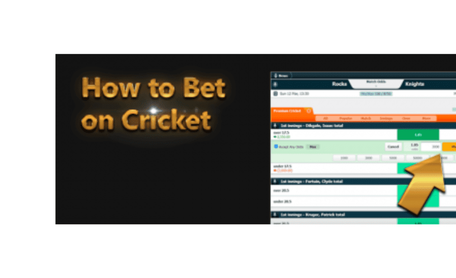 How To Bet Online Cricket?