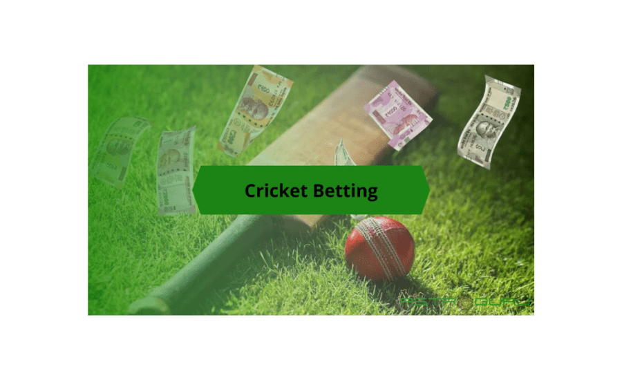 How To Do Cricket Betting In India?