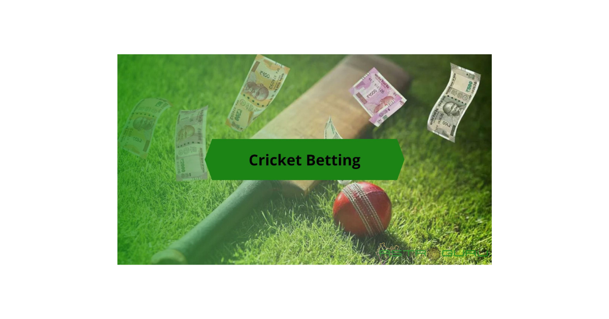 How To Do Cricket Betting In India?