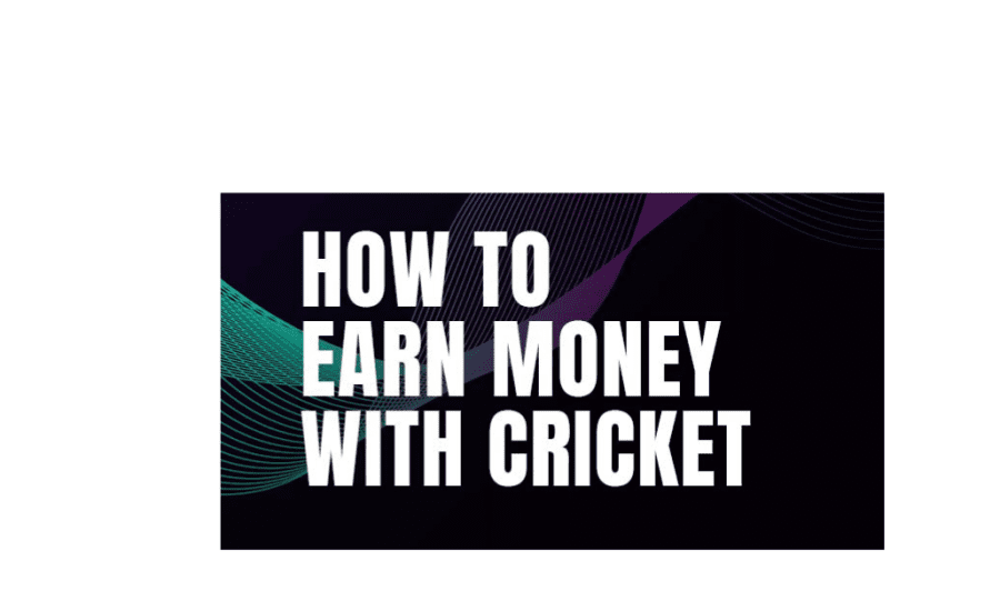 How To Earn In Cricket Betting?