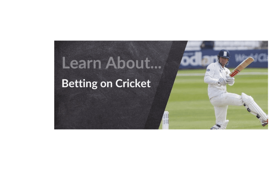 How To Learn Cricket Betting?