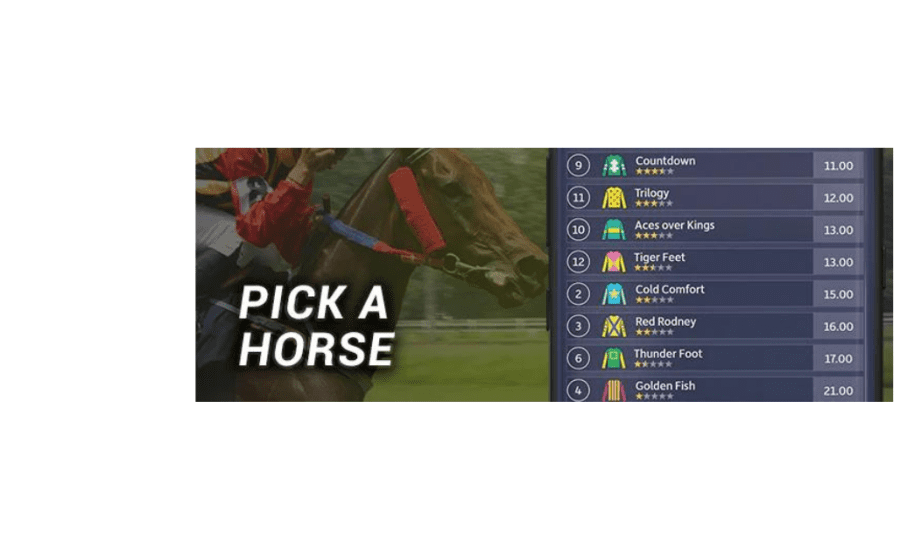 How To Pick A Horse To Bet On?