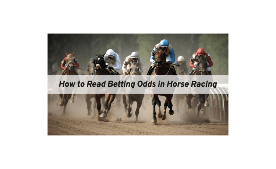 How To Read Betting Odds Horse Racing?