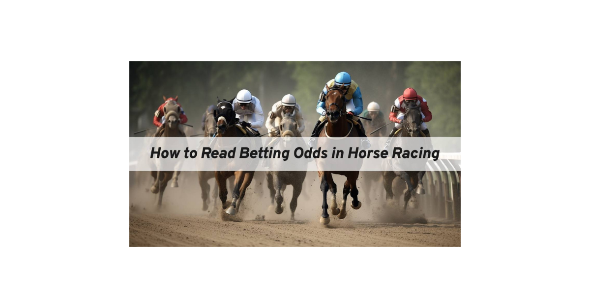 How To Read Betting Odds Horse Racing?