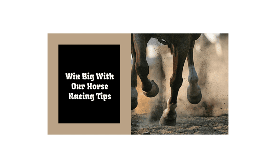 How To Win Horse Racing Bets?