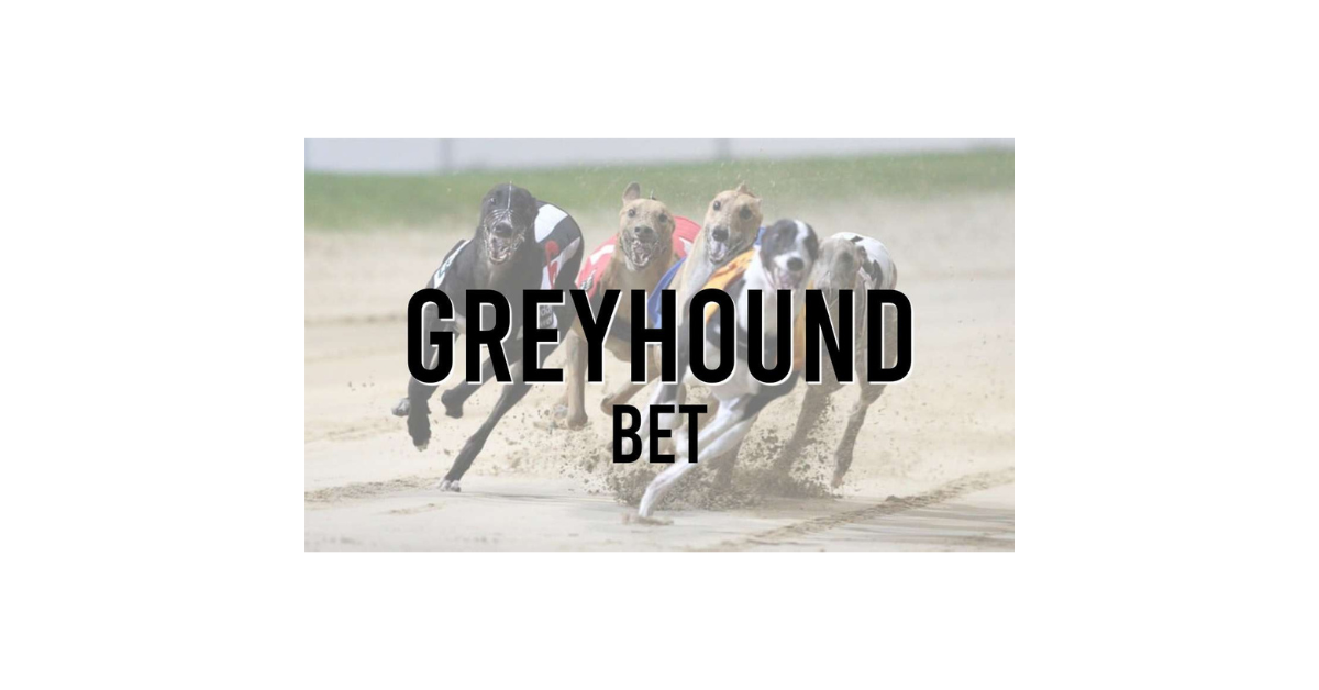 How To Win Greyhound Betting?