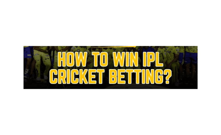 How To Win Ipl Cricket Betting?