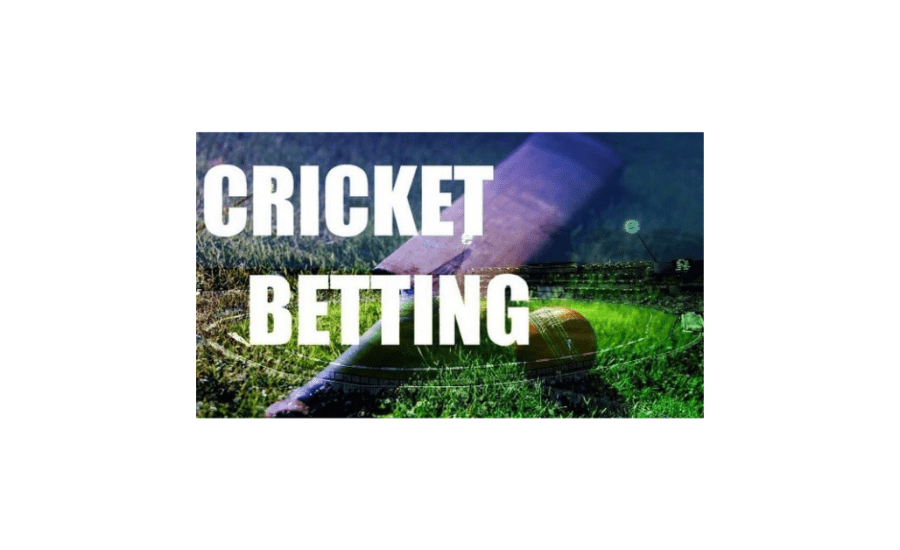 How To Win In Cricket Betting In Hindi?