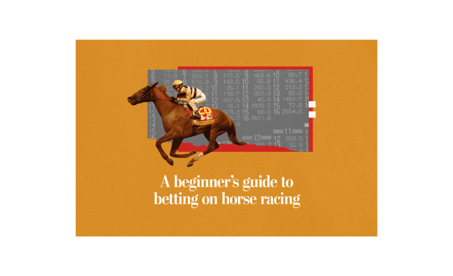 How To Work Out Horse Racing Bets?