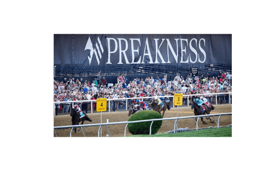 What Horse To Bet On Preakness?