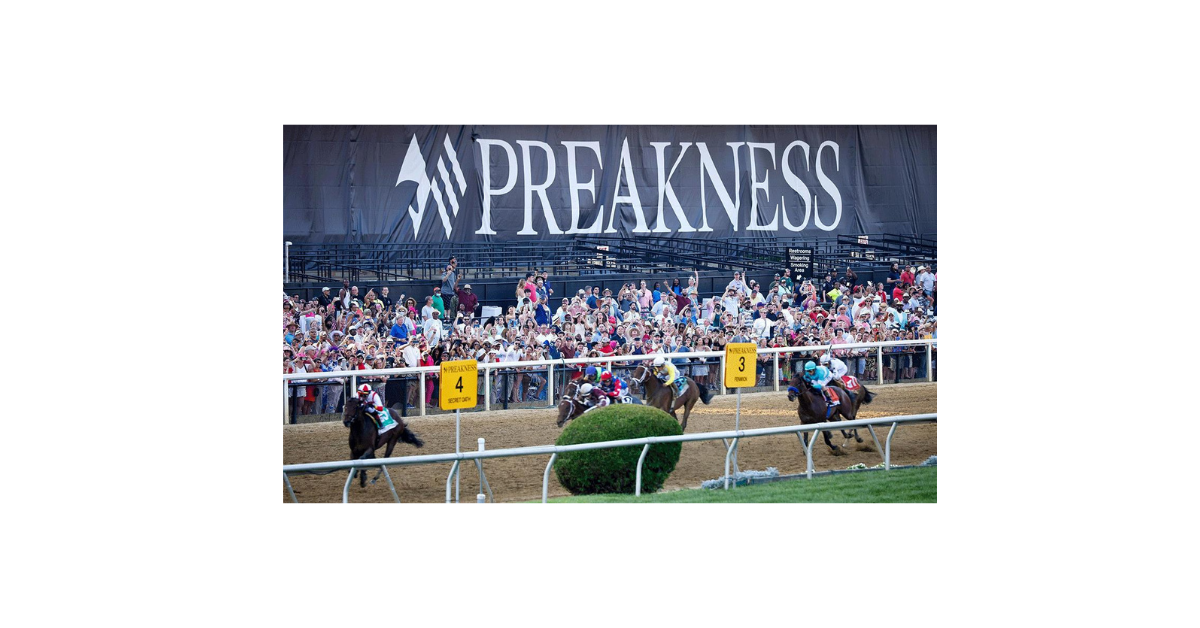 What Horse To Bet On Preakness?