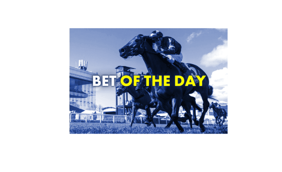 What Horses To Bet On Today?