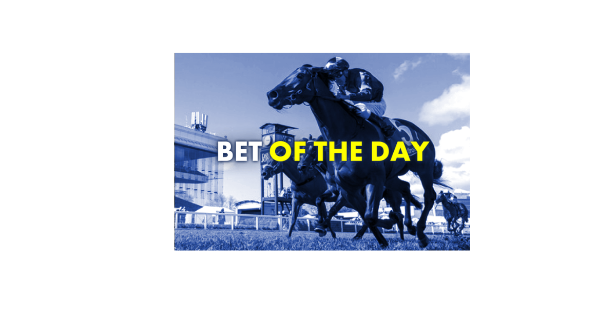 What Horses To Bet On Today?