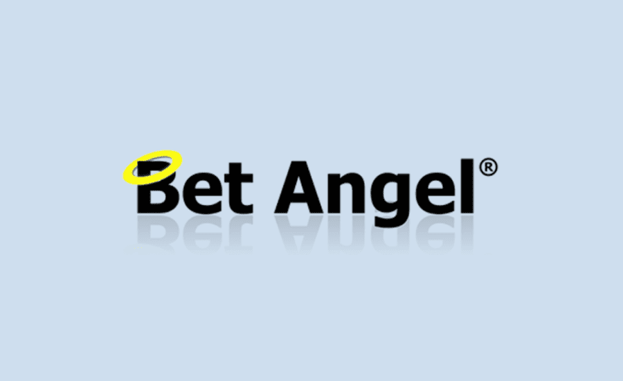 What Is Bet Angel?