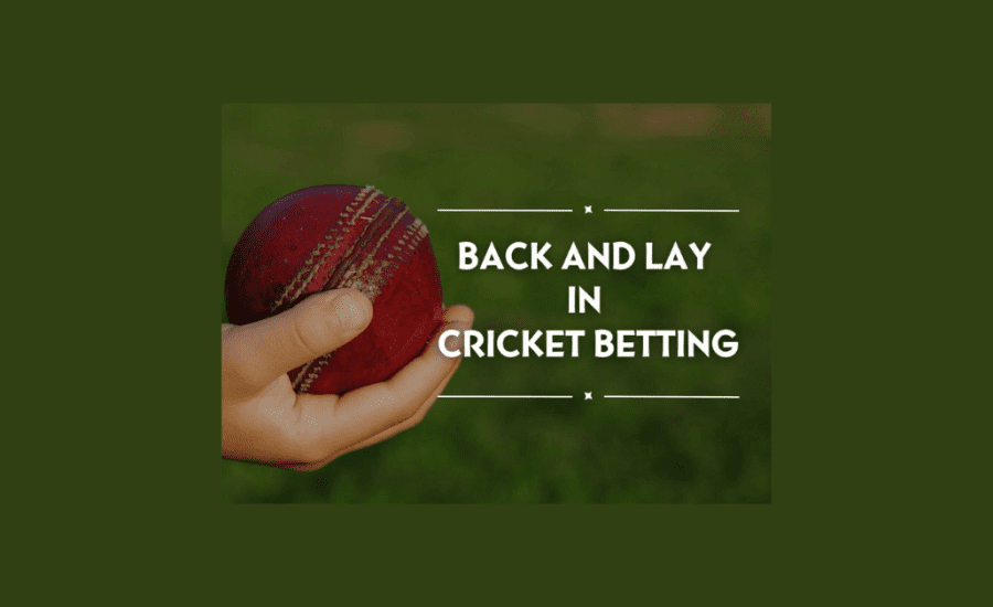 What Is Back And Lay In Cricket Betting In Hindi?