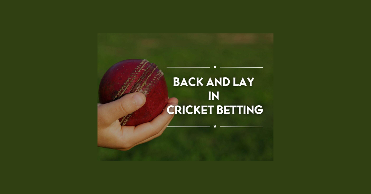 What Is Back And Lay In Cricket Betting In Hindi?