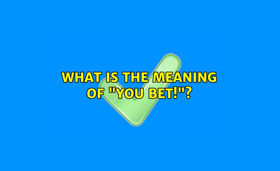 What Is The Meaning Of You Bet?