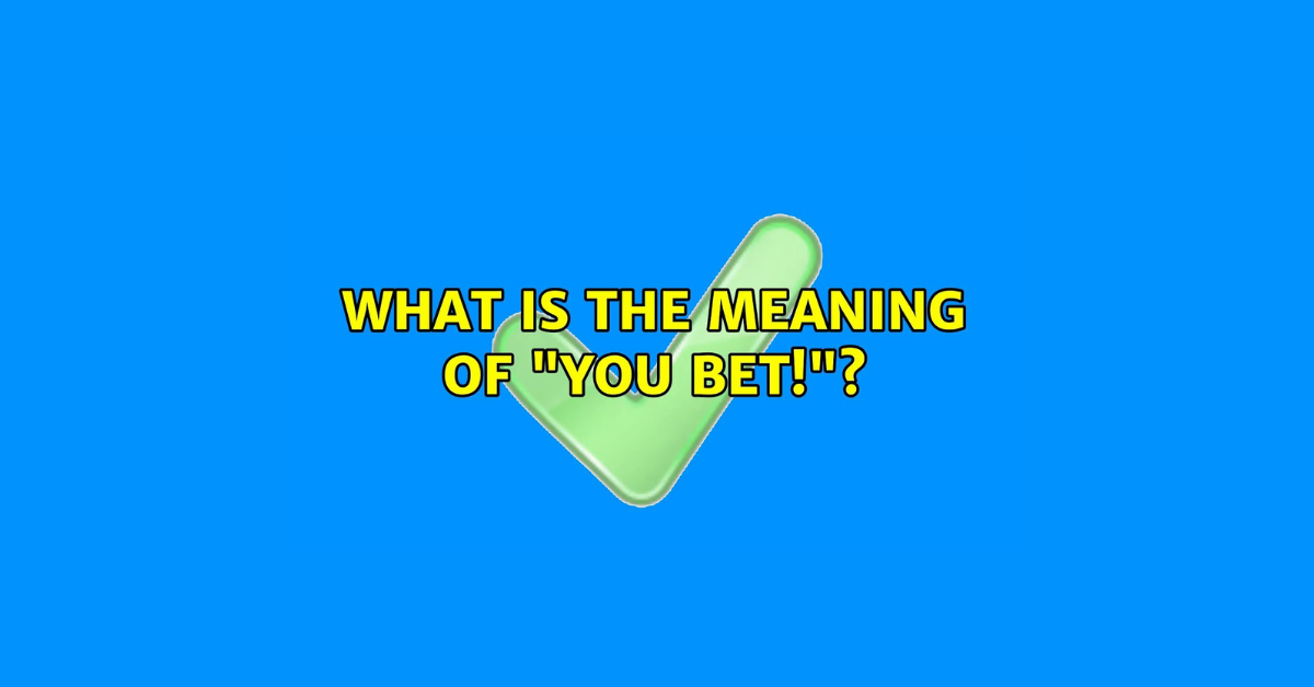 What Is The Meaning Of You Bet?