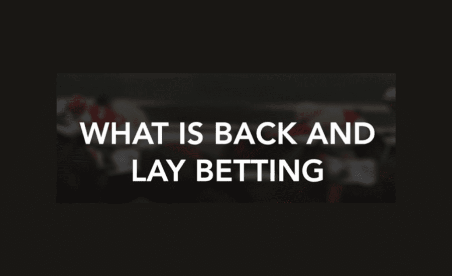 What Is The Meaning Of Back And Lay In Betting?