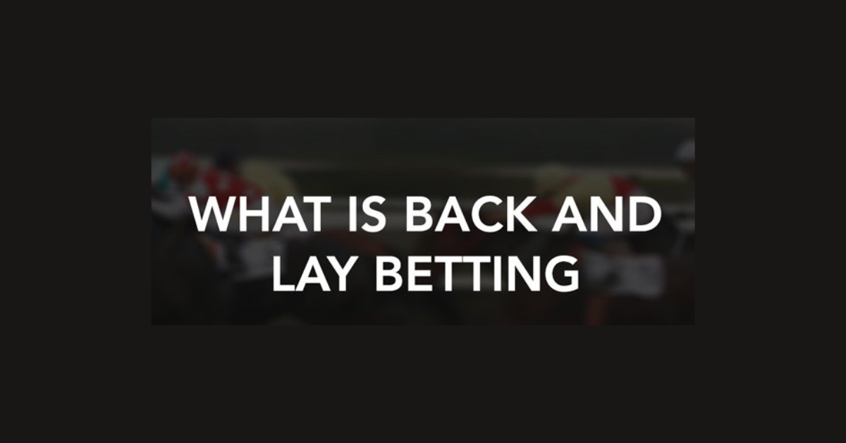 What Is The Meaning Of Back And Lay In Betting?