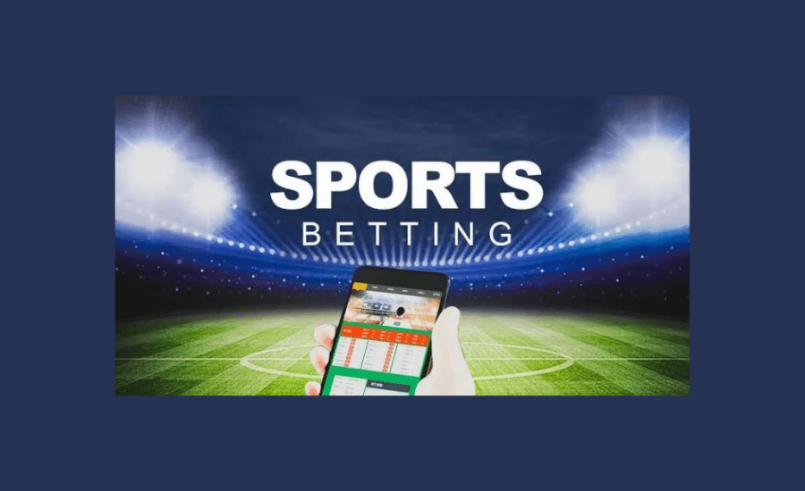 Where To Bet On Sports Online?