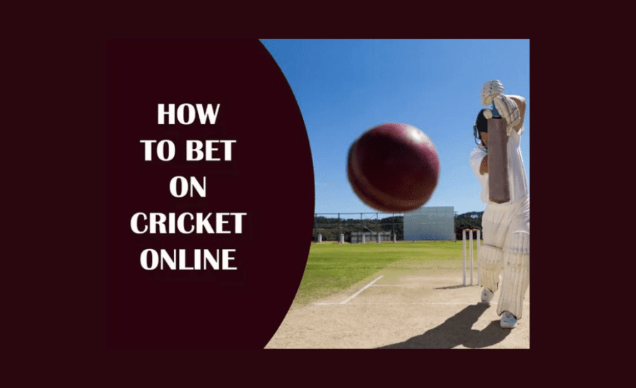 How To Bet On Cricket Online?