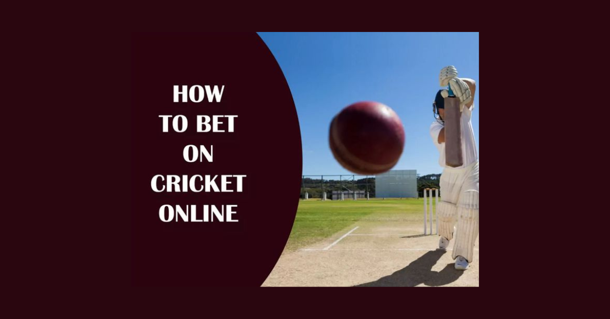 How To Bet On Cricket Online?