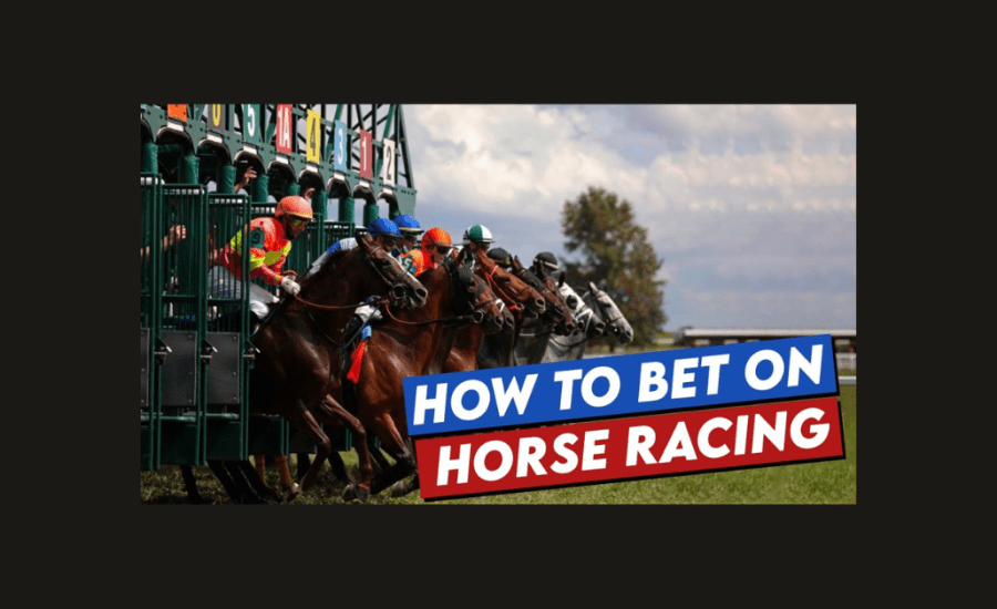 How To Bet In Horse Racing Tips?