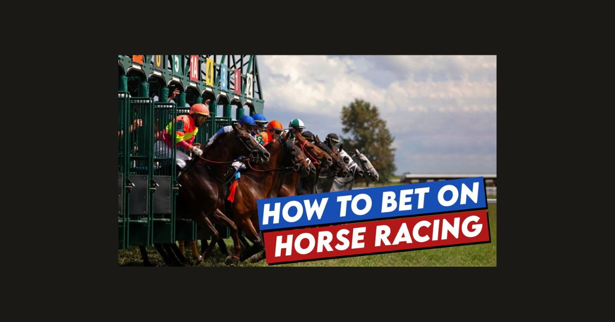 How To Bet In Horse Racing Tips?