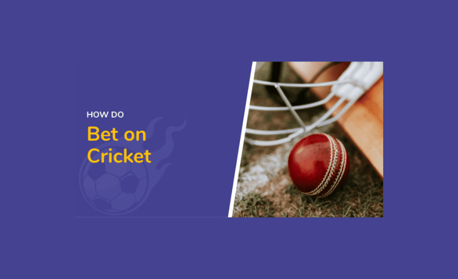 How To Do Betting In Cricket?