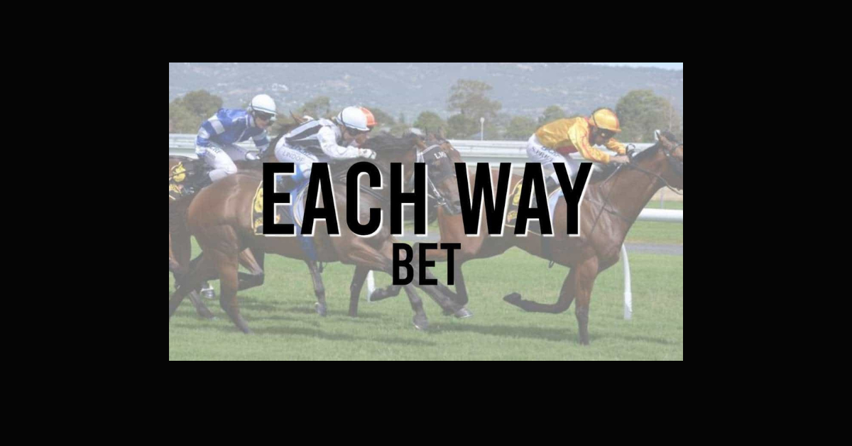 How To Bet On Horse Racing Each Way?