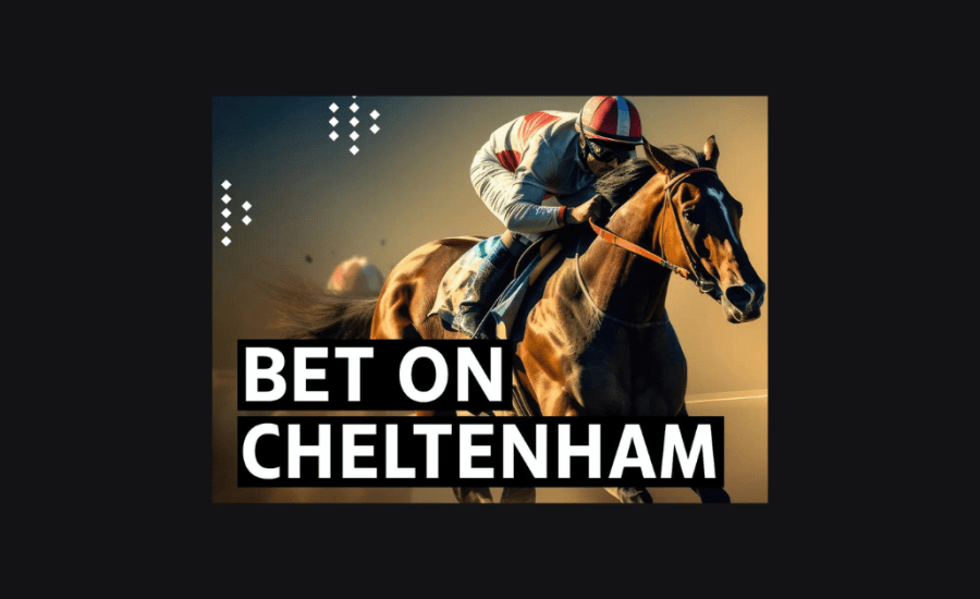 How To Bet On Cheltenham?