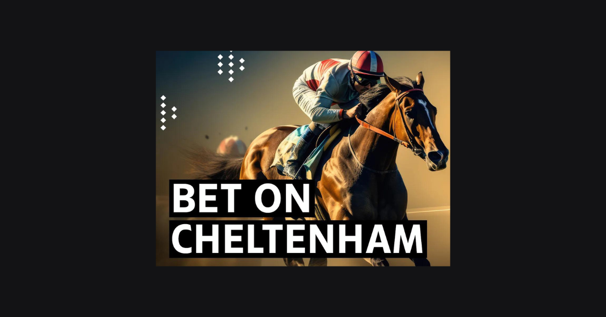 How To Bet On Cheltenham?